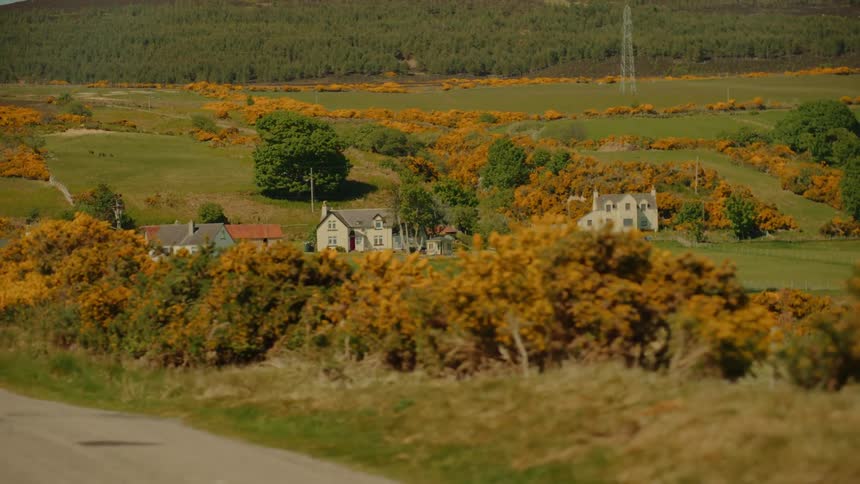 The homes are on a long green pasture by the hills