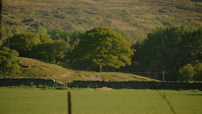 Green field bordered by a stone wall with trees and a hillside in the background
