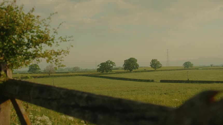 Farmland fields bordered by hedgerows and trees under a clear sky