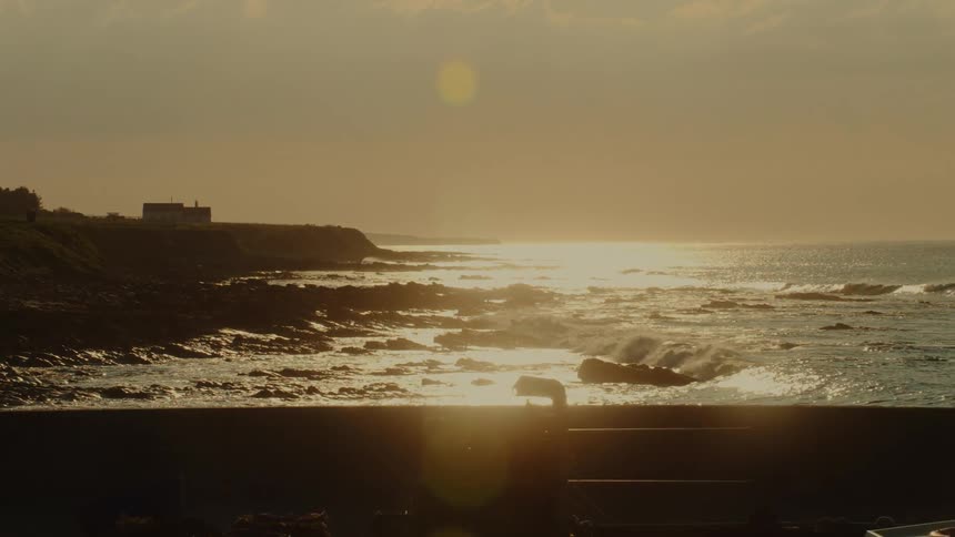 Rocky coastline with waves lit by the low sun on the horizon