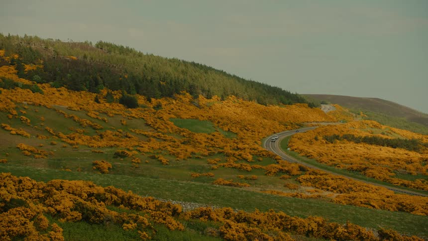 A view of a winding road through a lush green valley with bright yellow flowers on the hills under a cloudy sky during the day