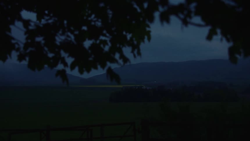 Wind shaking the leaves of a lone tree standing in a wide vast countryside covered in short green grass during the evening