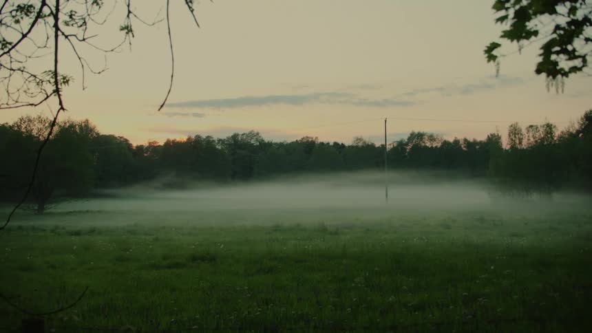 A view of a field with grass and trees