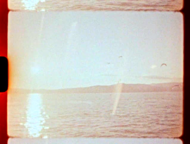 A glimpse of a view of a person seated on a boat on a lake near islands and mountains with many birds flying in the air