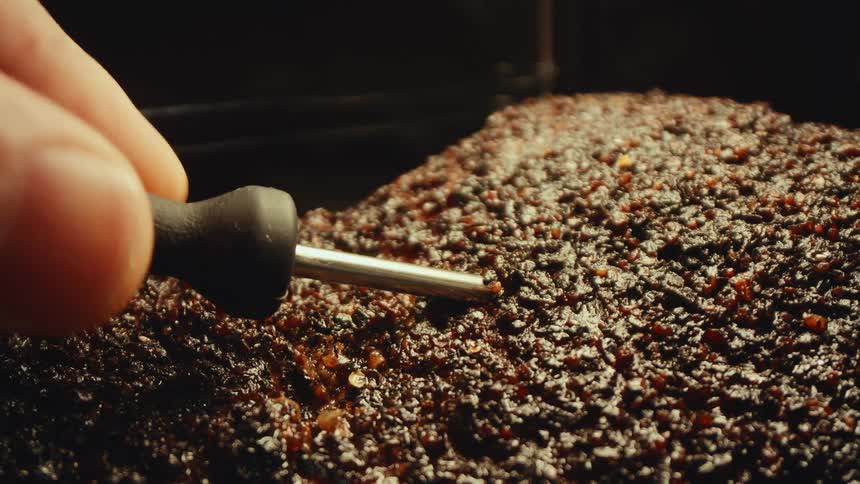 The person tests the temperature of a roast in the oven