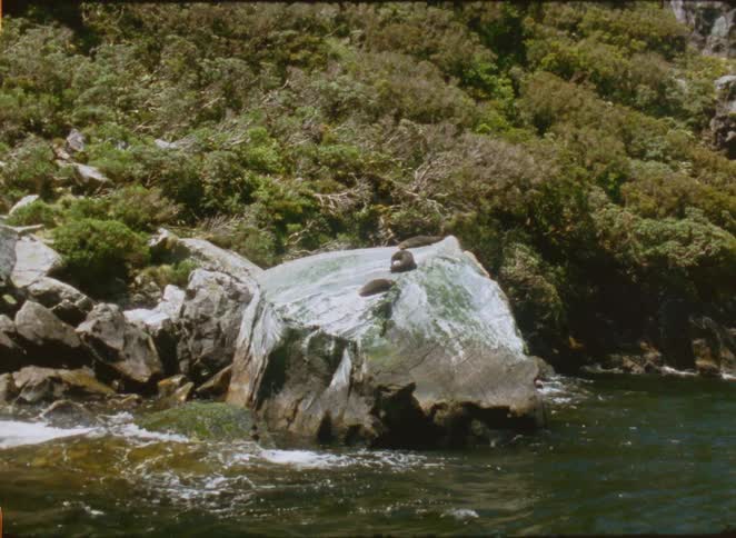 A rock along the coast of a river