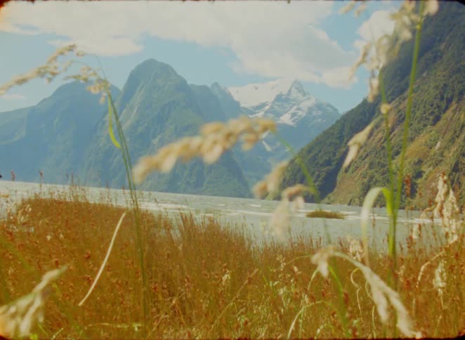 Field with golden vegetation by a lake with mountains in the background