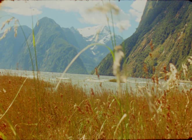 Vintage film footage shows tall stalks of grass swaying in the wind in a field with a river and large green mountains under a bright sky in the background