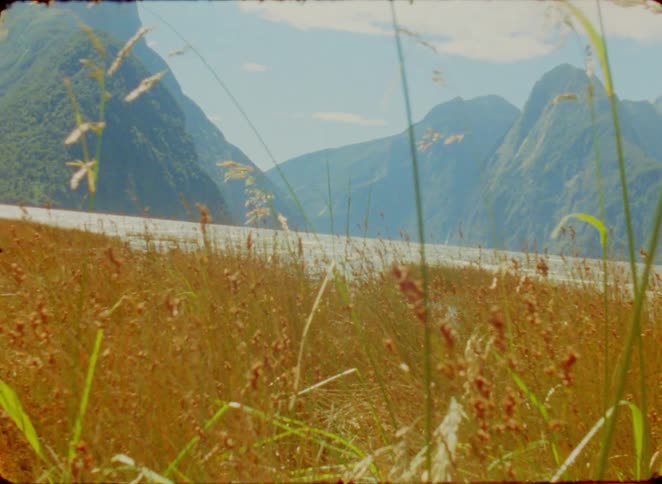 Golden vegetation by a lake with mountains and snowcapped peaks in the background