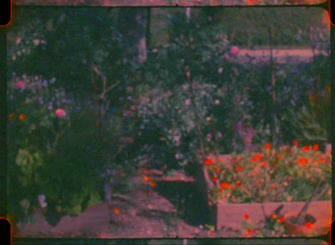 A garden filled with plants and flowers on a vast piece of land at midday