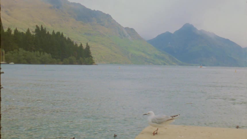 Seagull on structure by lake with mountains and trees in background