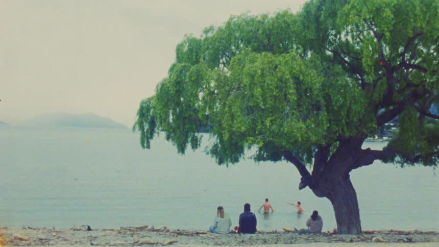 People sit under a tree by a lake while others swim