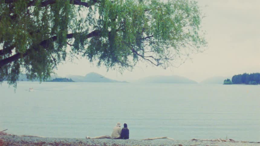 Two people sitting by a lakeshore under a tree with leaning branches