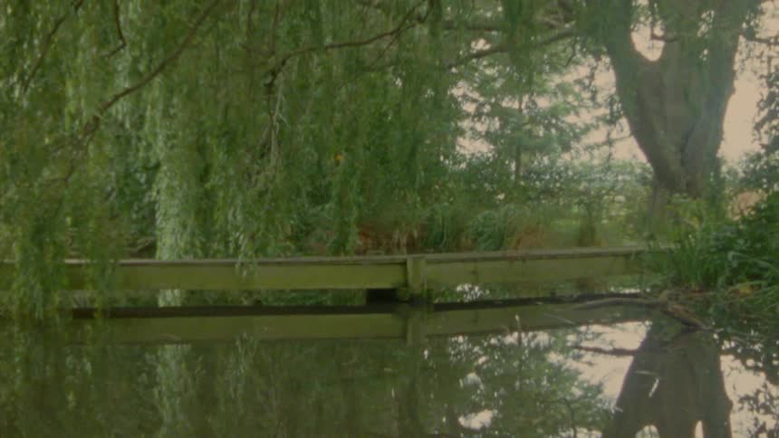 Wooden bridge over a lake beneath trees with hanging branches