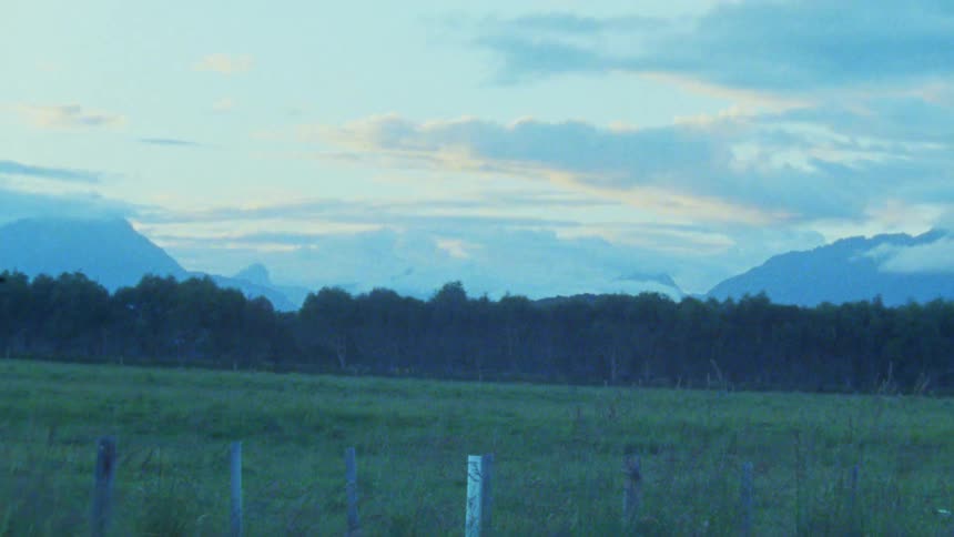 The long field leads to a forest