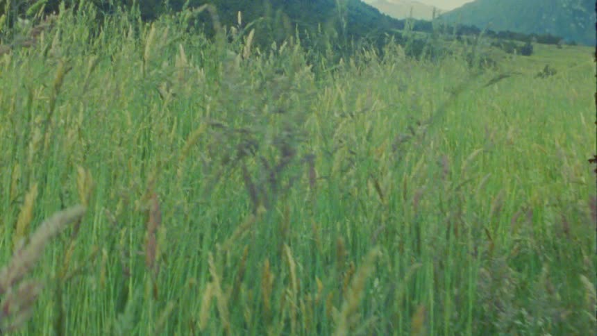 A person walking along a path in a grassland with a mountain range in the background at midday