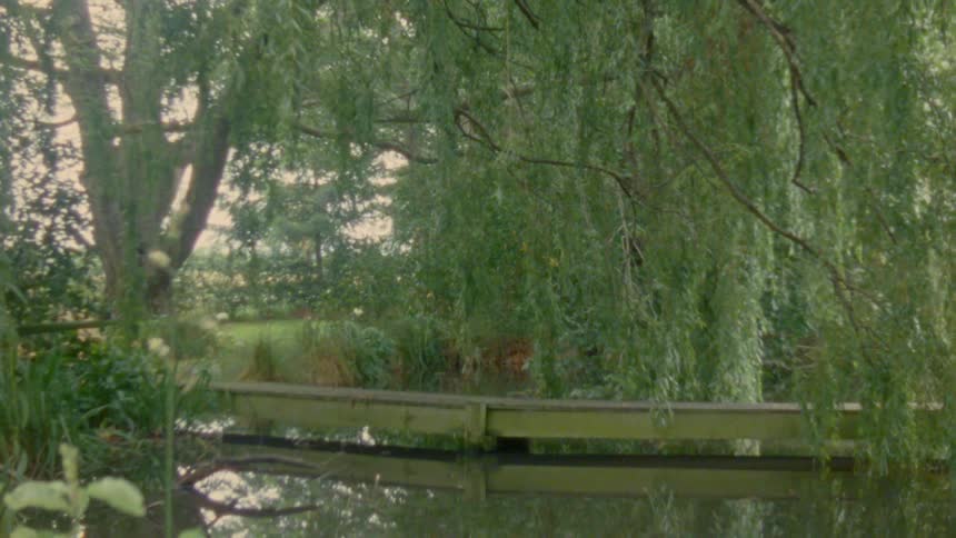 A view of a narrow wooden footbridge over a calm pond surrounded by lush green trees and weeping willow branches hanging over the water on a quiet day