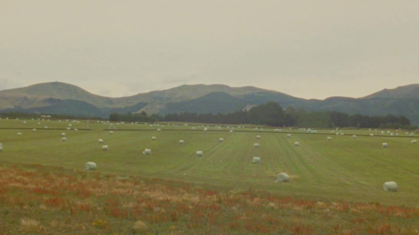 A view of a field on a sunny day