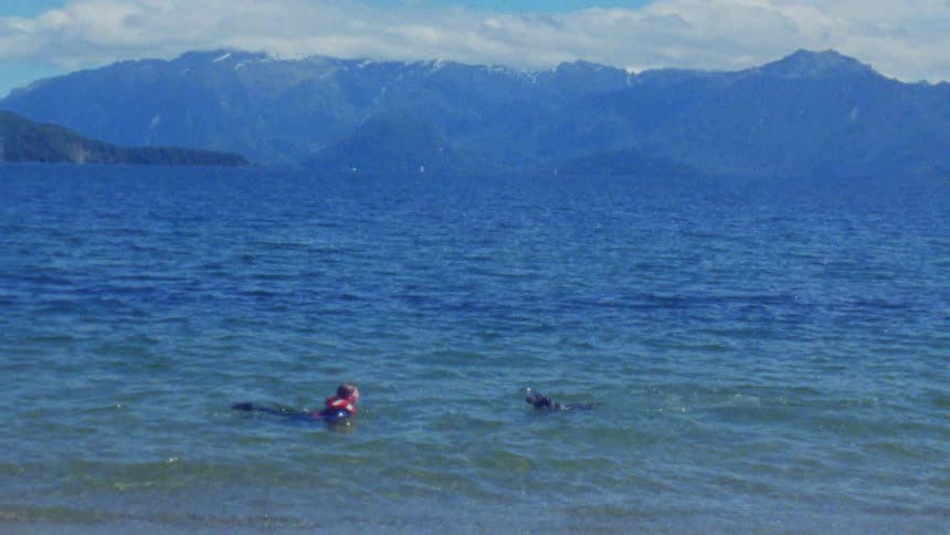 Two people swimming outdoors