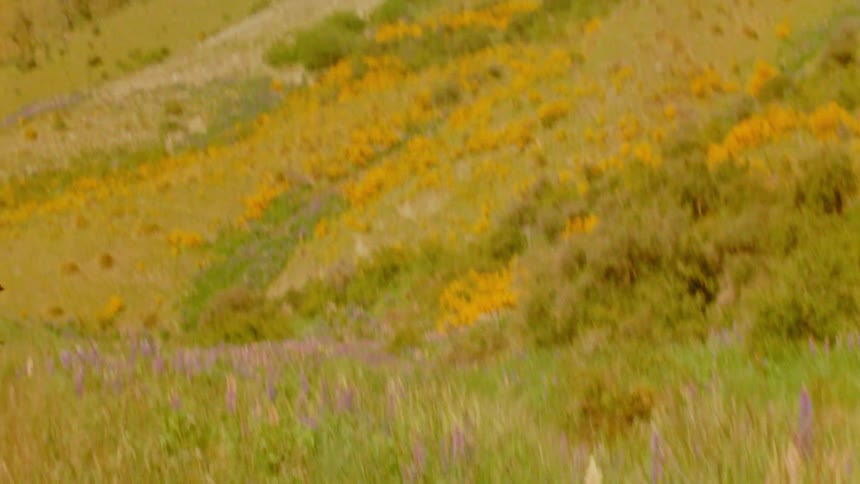 Hills with yellow vegetation and a trail on sloped terrain under a cloudy sky
