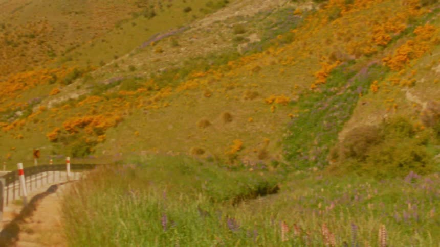 A scenic mountain landscape blanketed in vibrant orange and purple wildflowers a winding road cuts through the hills with a few cars seen traveling along the path under a clear sky