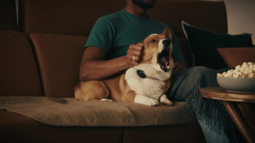 Man pets a dog sitting on the couch while a bowl of popcorn sits on the table