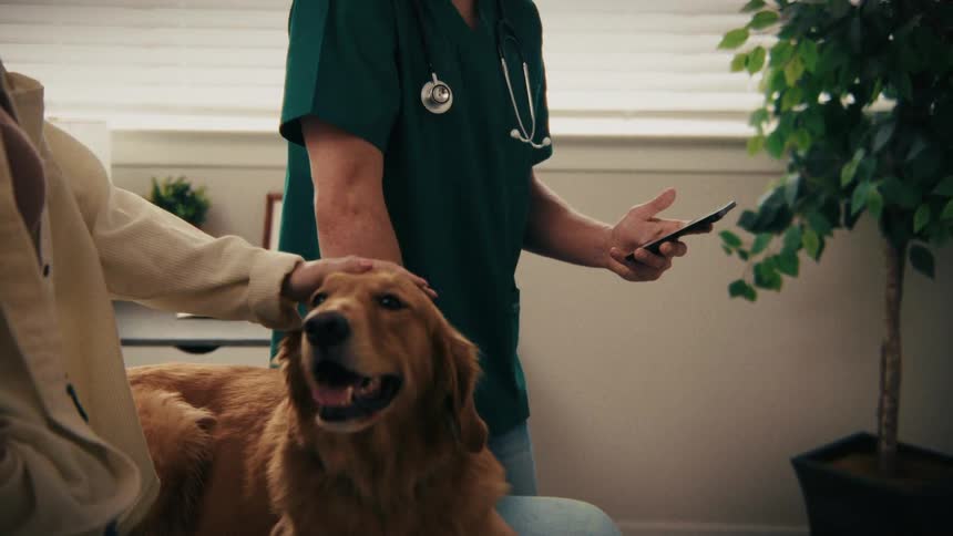 A golden retriever with a blue collar sits on a blue exam table while a vet in green scrubs and a woman in a cream shirt pet its head and back in a brightly lit clinic room
