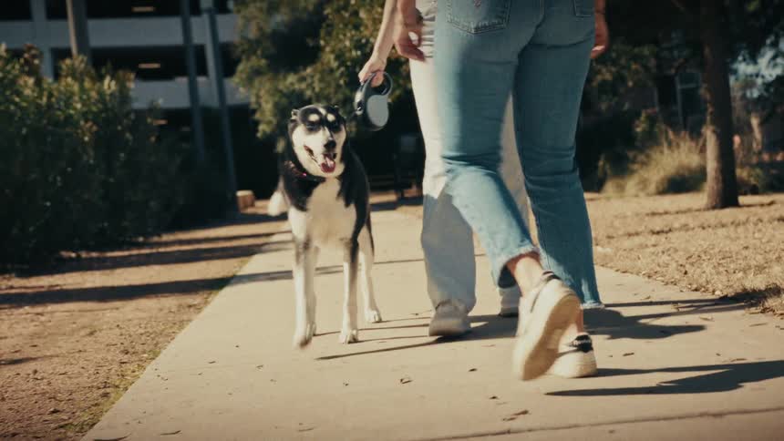 A close view of the legs and feet of a woman in blue jeans and white sneakers walking on a concrete path while another person walks a black and white dog on a leash in the background on a sunny day
