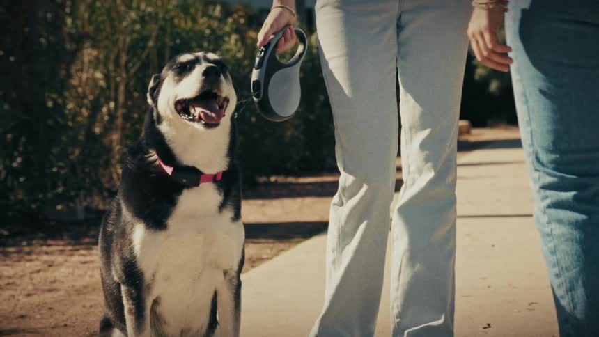 A dog sitting on a walkway while its owner holding the leash stands beside it and talks to another woman at midday