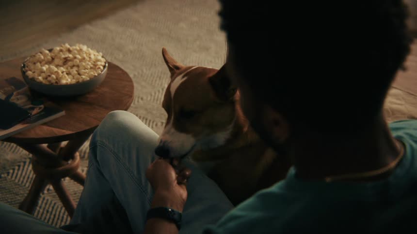 Person sitting on couch offering popcorn to brown and white dog beside table with bowl of popcorn
