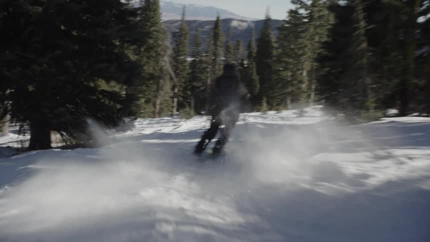 A person wearing dark winter clothing skis down a snowy slope between evergreen trees under a bright sky while spraying white snow into the air