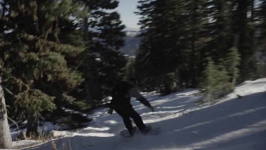 A man wearing a grey jacket and black pants rides a snowboard through deep snow between tall green trees on a sunny day