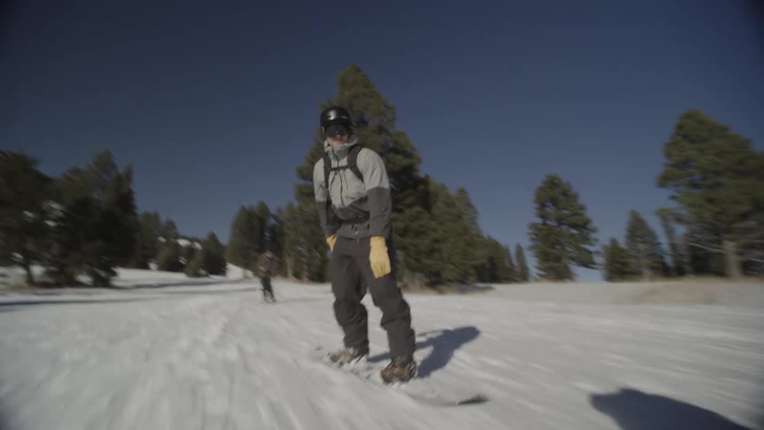 A man wearing a grey jacket and black pants rides a snowboard down a snowy slope lined with tall green trees under a clear blue sky on a sunny day