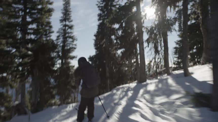 Skier holds his poles as he moves fast between trees on a snow covered mountain slope