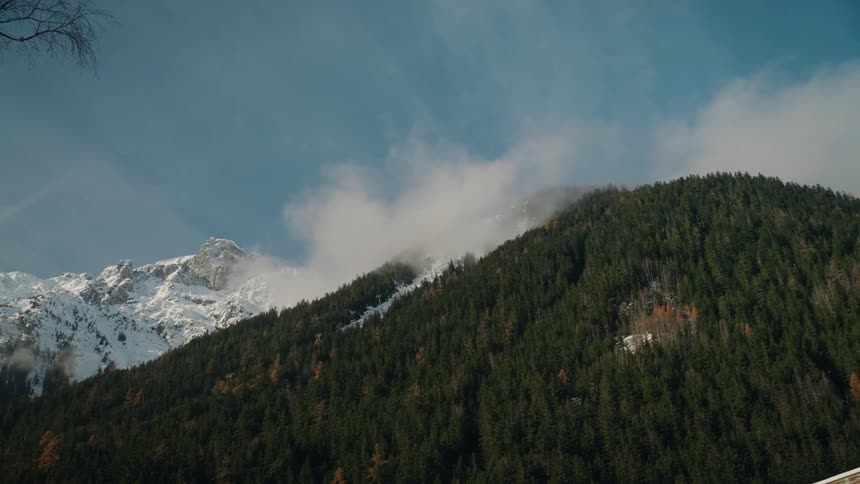 Snowy mountain peaks tower over a dense green pine forest while white clouds drift across the blue sky and bare branches frame the left side of the alpine landscape