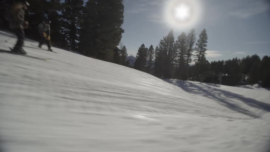 Snowboarder and skier on snowy trail among pine trees