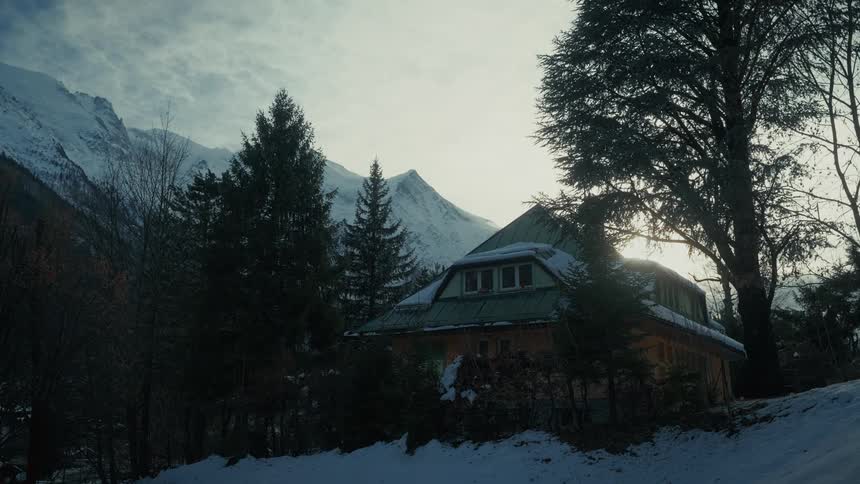 House with green roof surrounded by trees and snowy mountains