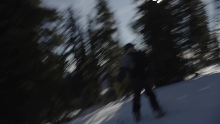 Person skiing in a snowy landscape among trees and mountains