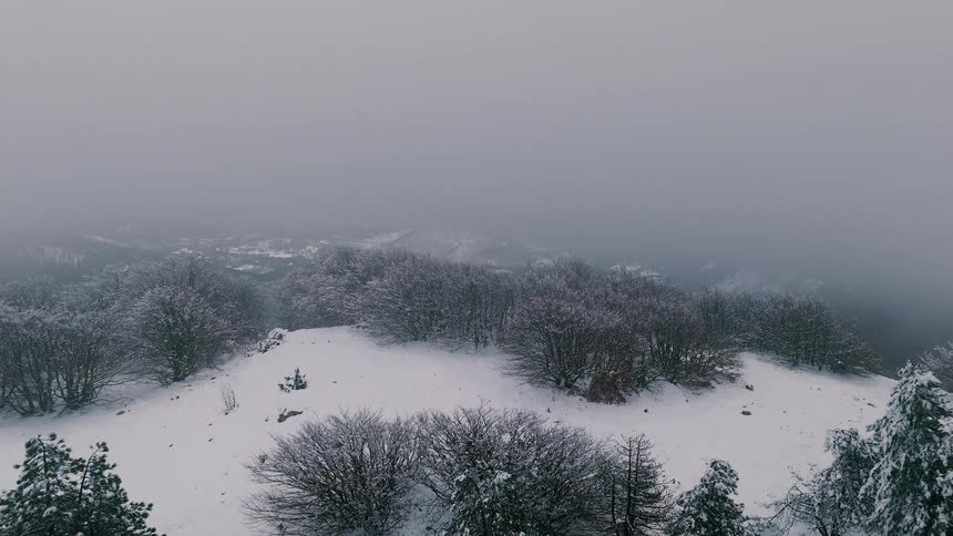 Trees and woodland across a snow covered mountain