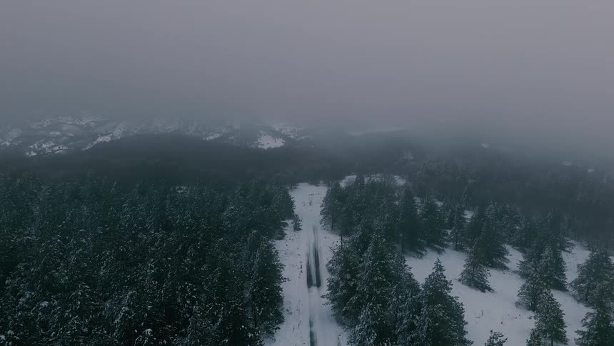 A view from above of a long straight road through a forest of dark green trees covered in snow under a grey and cloudy sky