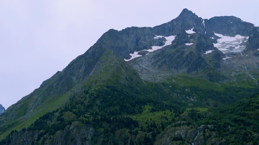 View of a snowy tree covered mountain