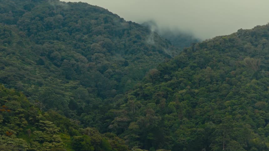 Heavy fog is rolling over the mountains