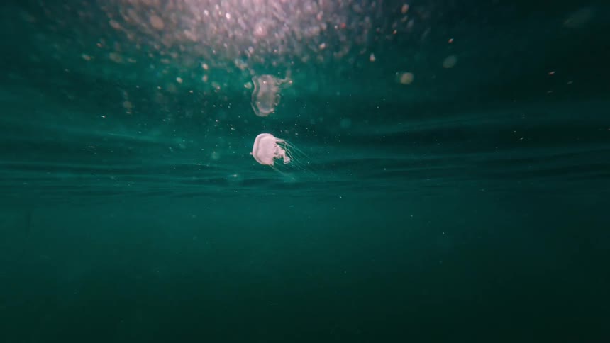 Greenishblue water with suspended particles and a translucent object floating