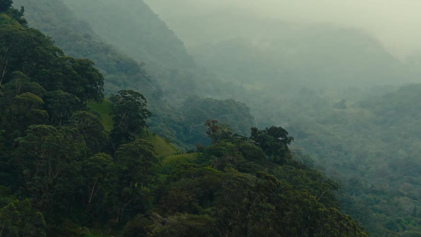 Hillsides covered by dense forest surrounded by mist