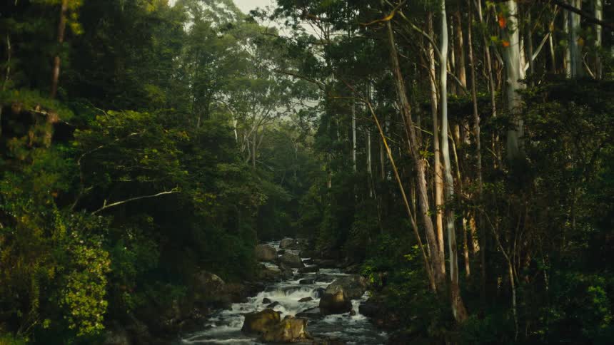 Stream flowing over rocks in the tropical forest