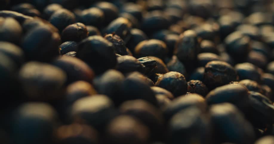 Dark beans in focus on a surface illuminated by warm light