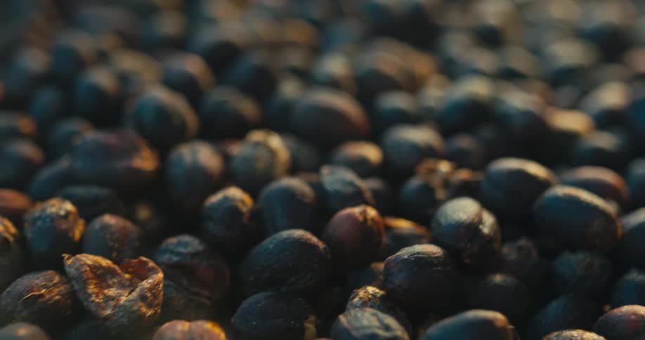 Dark fruits scattered with one cracked open under warm evening light