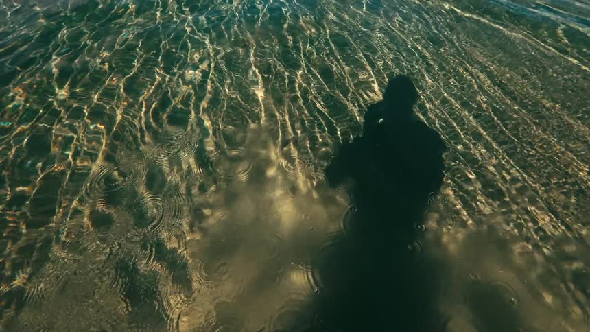A person standing in shallow water taking a photo of the waterbed on a sunny day