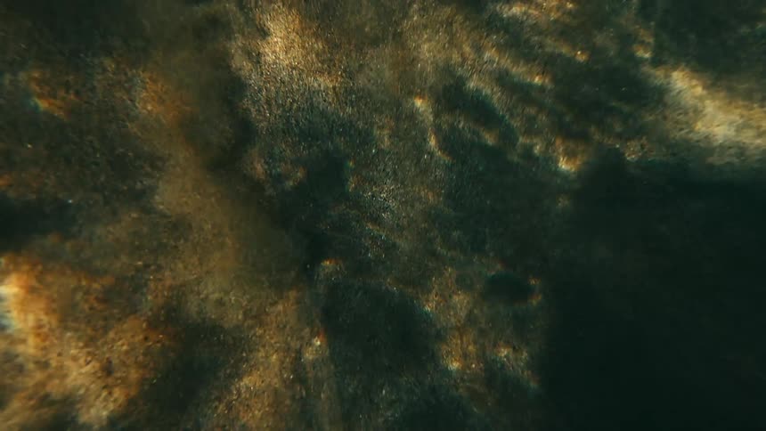 Golden light reflects on the sandy bottom beneath clear water