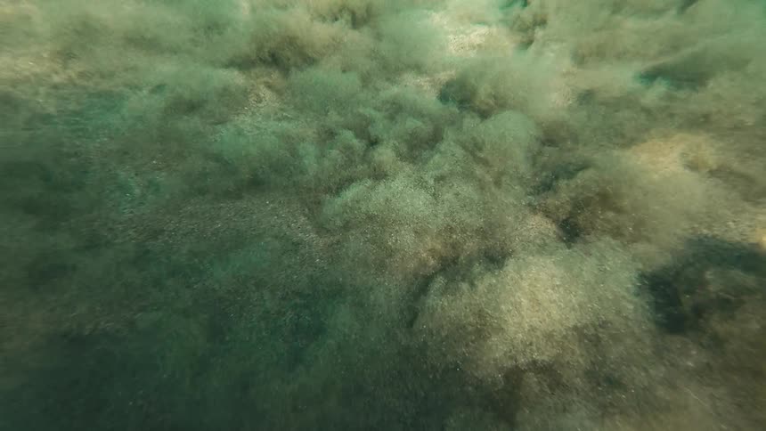 Shimmering sunlight filters through clear water to cast dancing caustic patterns over a shallow sandy seabed covered in patches of green algae revealing the tranquil and rhythmic textures of the ocean floor in a serene underwater moment